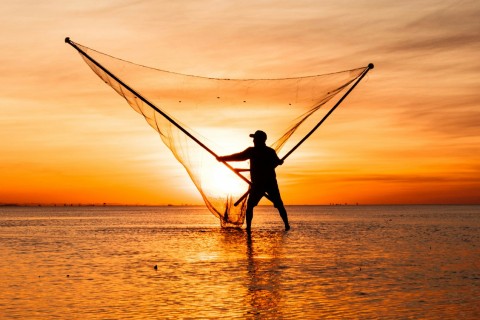 Mais de 61 mil pescadores têm licença cancelada no Maranhão; estado lidera ranking nacional